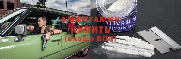 прущие грибы Горняк