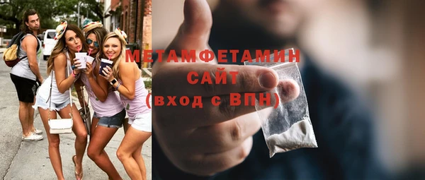 прущие грибы Горняк