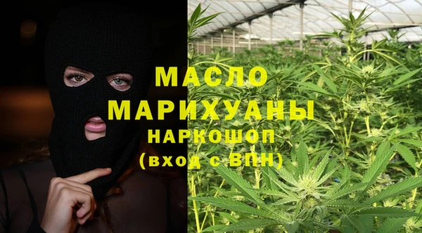 прущие грибы Горняк