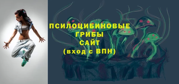 прущие грибы Горняк
