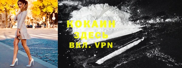 прущие грибы Горняк